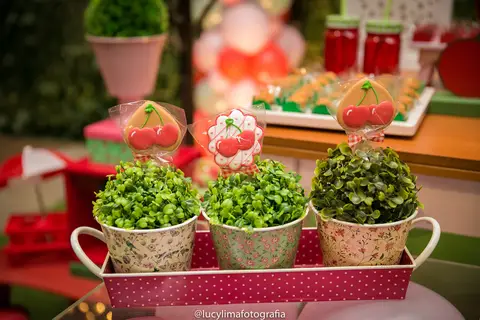 fotografia festa infantil curitiba'