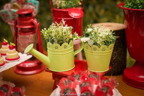 fotografia festa infantil curitiba'