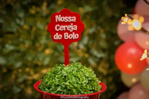 fotografia festa infantil curitiba'