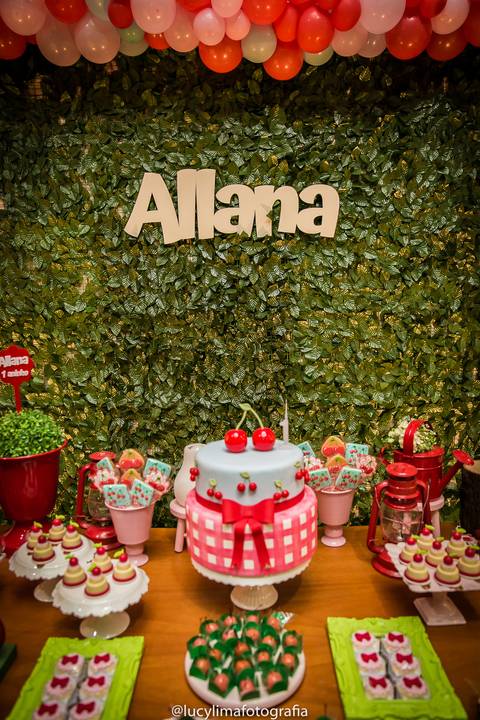 fotografia festa infantil curitiba'