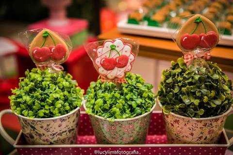 fotografia festa infantil curitiba'