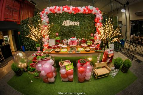 fotografia festa infantil curitiba'