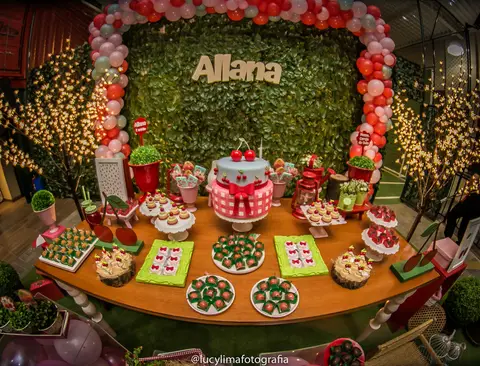 fotografia festa infantil curitiba'