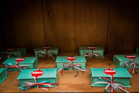 fotografia festa infantil curitiba'