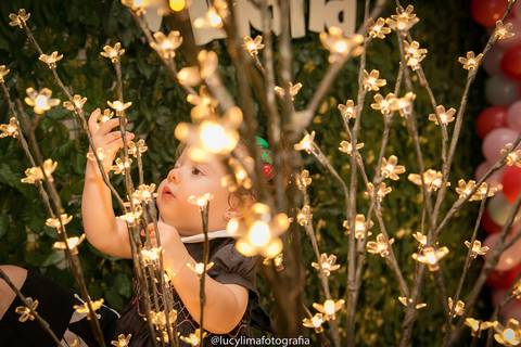 fotografia festa infantil curitiba'