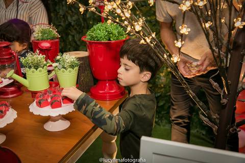 fotografia festa infantil curitiba'