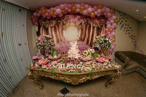 FOTOGRAFIA FESTA INFANTIL CURITIBA'