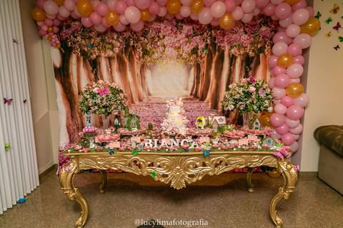 FOTOGRAFIA FESTA INFANTIL CURITIBA'