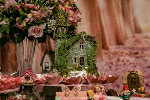 FOTOGRAFIA FESTA INFANTIL CURITIBA'