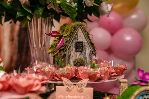 FOTOGRAFIA FESTA INFANTIL CURITIBA'