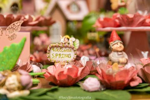 FOTOGRAFIA FESTA INFANTIL CURITIBA'