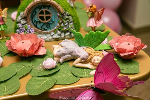 FOTOGRAFIA FESTA INFANTIL CURITIBA'