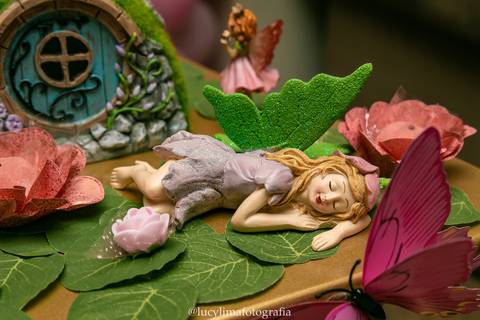 FOTOGRAFIA FESTA INFANTIL CURITIBA'