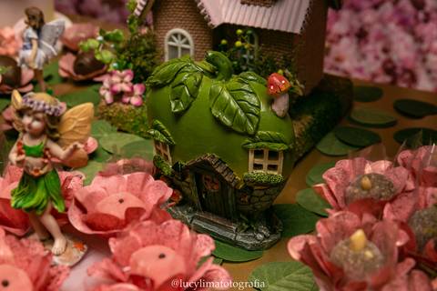 FOTOGRAFIA FESTA INFANTIL CURITIBA'