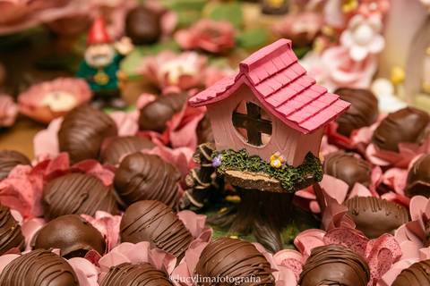 FOTOGRAFIA FESTA INFANTIL CURITIBA'