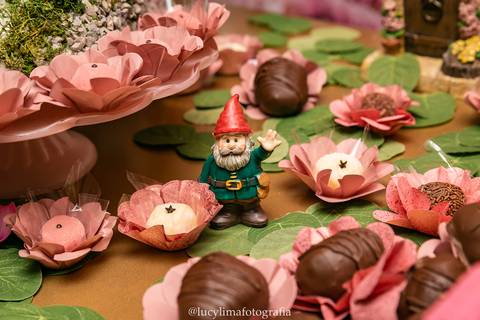 FOTOGRAFIA FESTA INFANTIL CURITIBA'