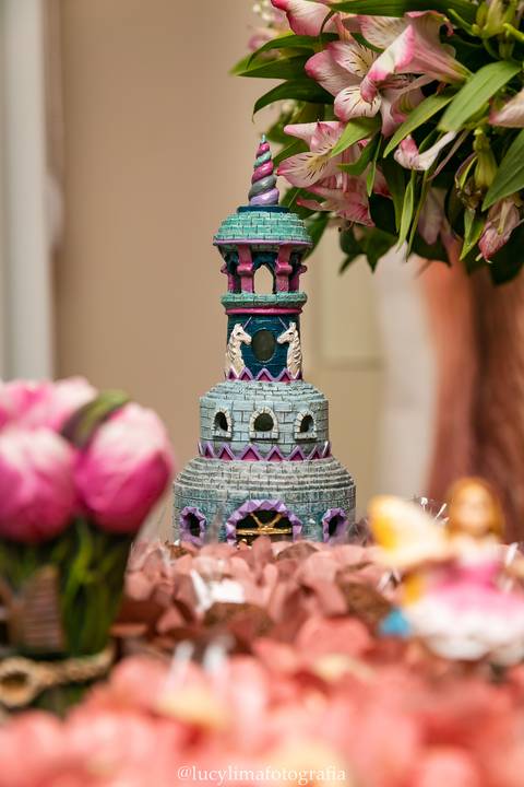 FOTOGRAFIA FESTA INFANTIL CURITIBA'