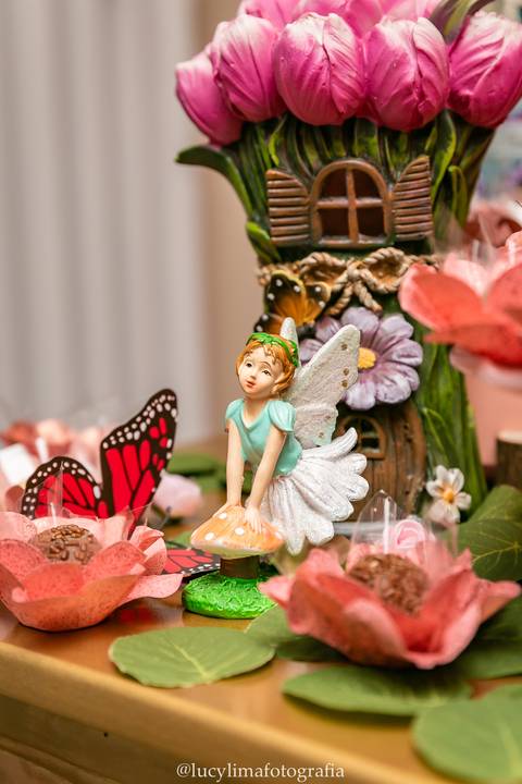 FOTOGRAFIA FESTA INFANTIL CURITIBA'