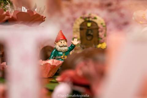 FOTOGRAFIA FESTA INFANTIL CURITIBA'