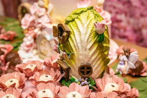 FOTOGRAFIA FESTA INFANTIL CURITIBA'