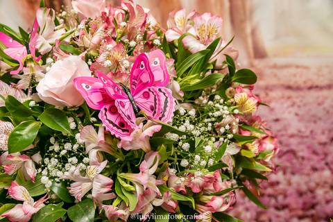 FOTOGRAFIA FESTA INFANTIL CURITIBA'