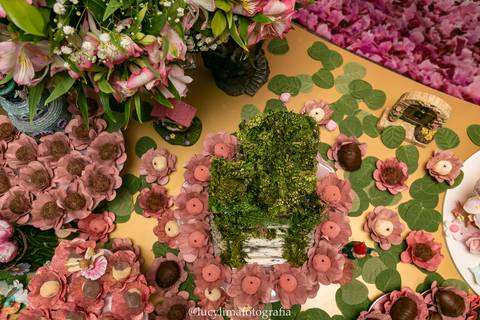 FOTOGRAFIA FESTA INFANTIL CURITIBA'