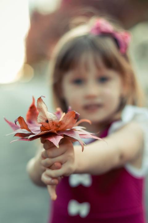 ENSAIO OUTONO CURITIBA'