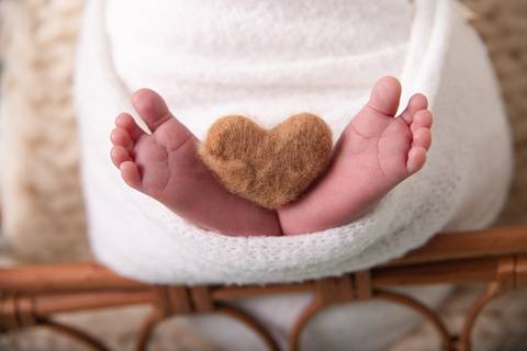 Fotografia Newborn Pouso Alegre'