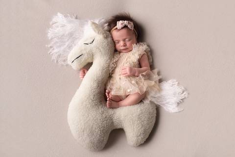 Ensaio Newborn Pouso Alegre'