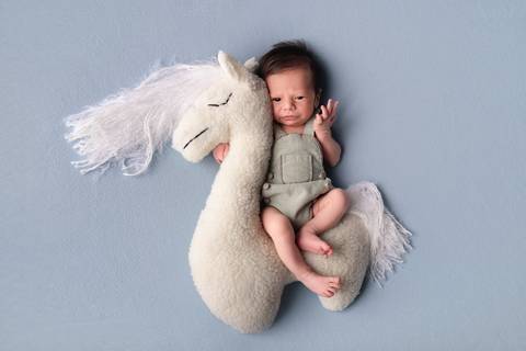 Luana Crispim Fotografia'