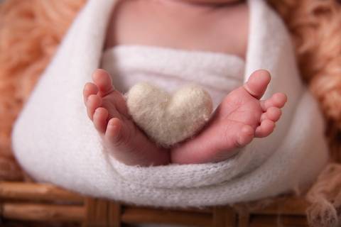 Luana Crispim Fotografia'