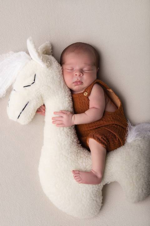 newborn Pouso Alegre'