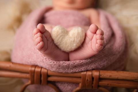 Luana Crispim Fotografia'