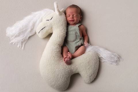 Luana Crispim Fotografia'