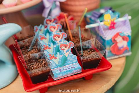 Radical Kids e Foto Certa - Festa de Aniversário Infantil - Decoração Tema Pequena Sereia'