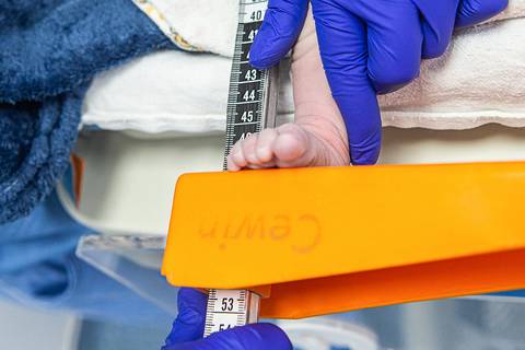 Cristina Fortes Fotografia'