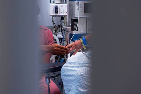 Cristina Fortes Fotografia'