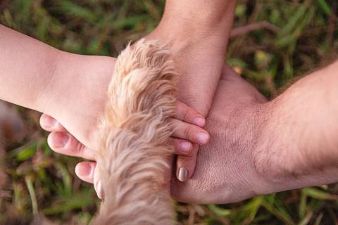 Cristina Fortes Fotografia'