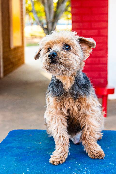Cristina Fortes Fotografia'