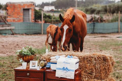 Batismo de Príncipe'