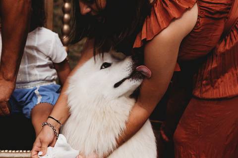 Batismo de Príncipe'