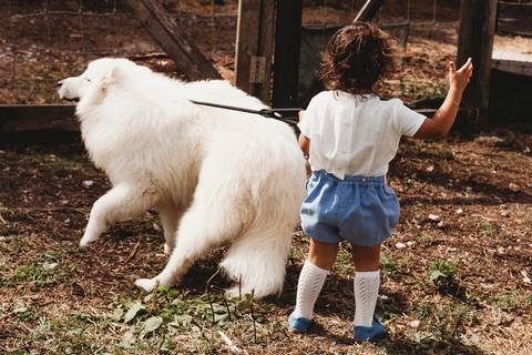 Batismo de Príncipe'