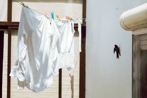 Sessão de Solteiros - Festa dos Tabuleiros'