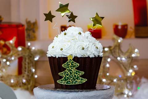 smash the cake ensaio infantil natal bolo festa infantil zona norte criança festa de aniversário família brincadeiras fotografia fotógrafa rio de janeiro RJ carioca'