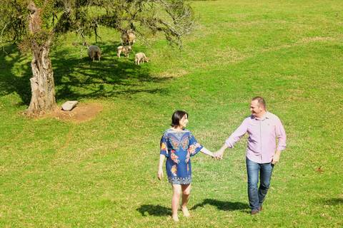 ensaio em haras-ensaio em campo-ensaio externo-ensaio de família-gestante-su nery fotos-look para ensaio de gestante'