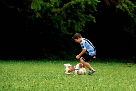 ensaio com cachorro - ensaio  externo - bela vista hotel'