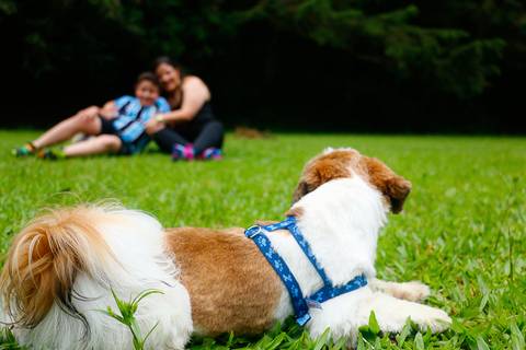 family - ensaio de família - bela vista hotel-www.sunery.com.br'