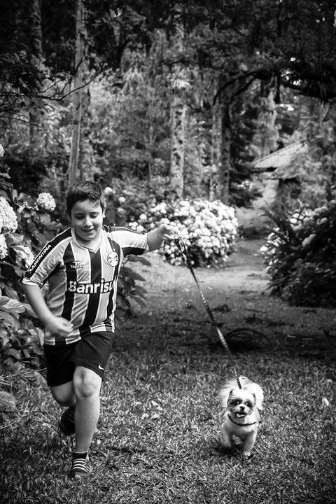 ensaio de menino - pet - grêmio - bela vista hotel-www.sunery.com.br'