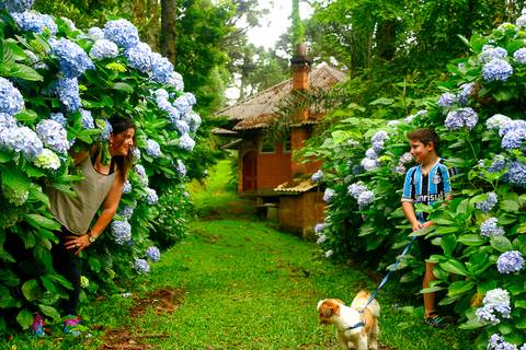 ensaio mãe e filho - family - ensaio ao ar livre-www.sunery.com.br'