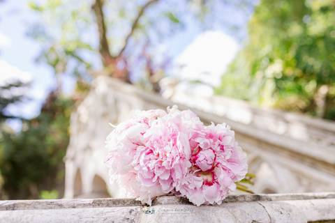 Sessão Fotografica de Casamento 
Ideal para micro casamentos; Casamentos no Cartório; 
Inês Valente Fotografia - Everyone has a Story'